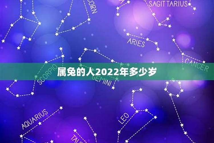 2022年属兔的人多少岁