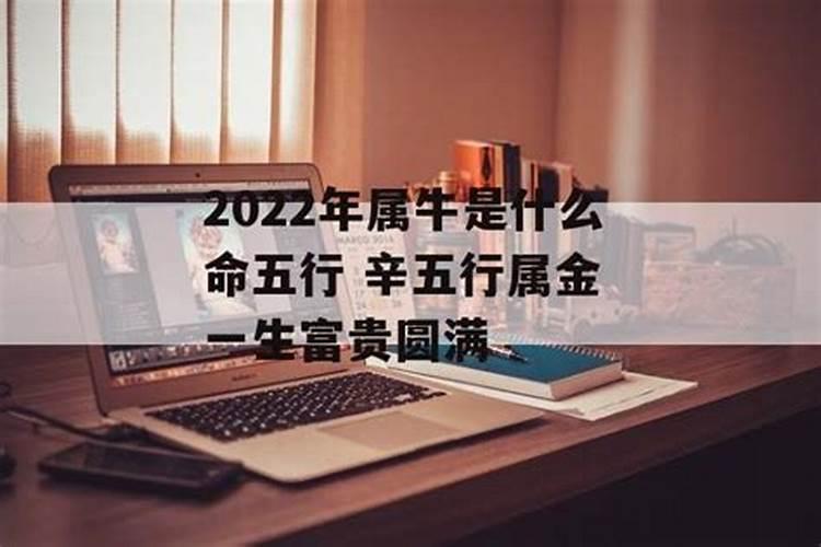 2022年属牛什么命