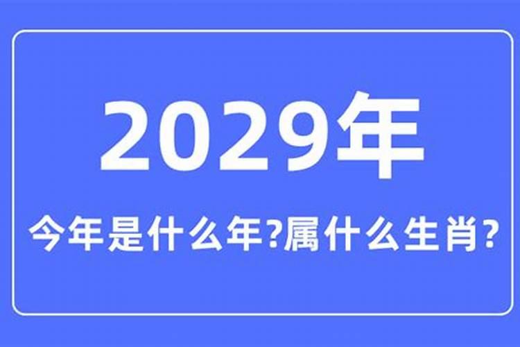 2029年属于什么生肖