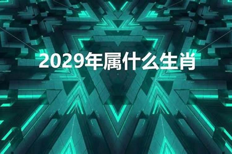 2029年属于什么生肖