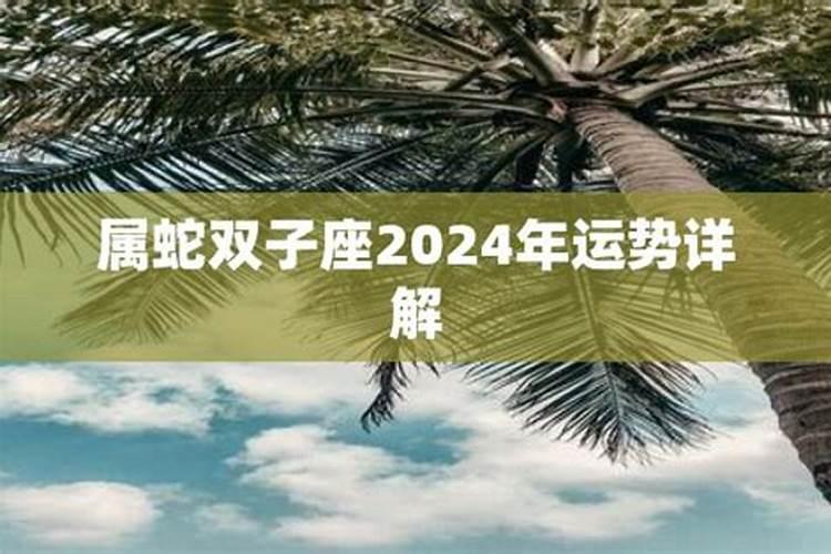 属蛇双子座2021年运势详解大全