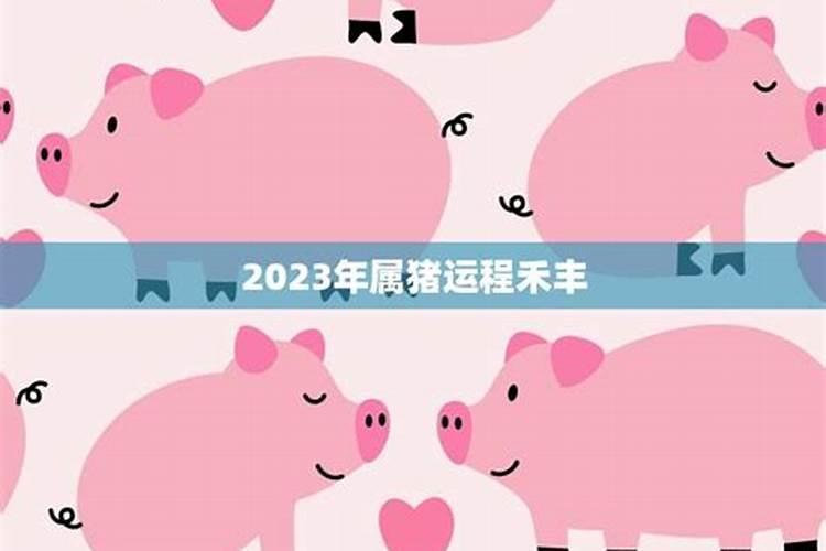 2018年属猪运势