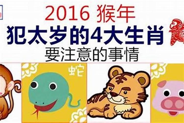 2016年犯太岁列表