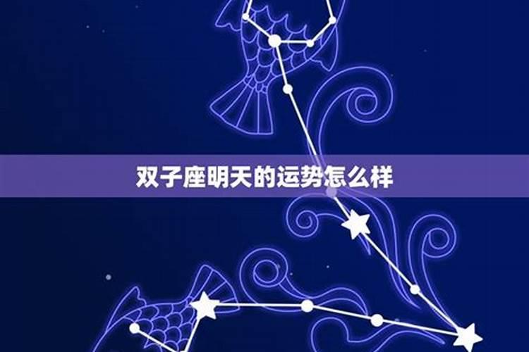 2021年双子座的星座运势