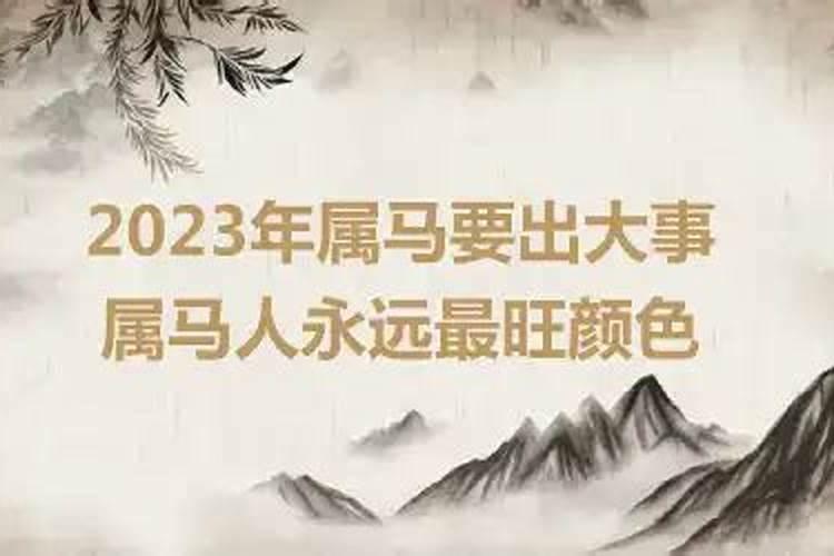 属马在2024年的运势好不好呢