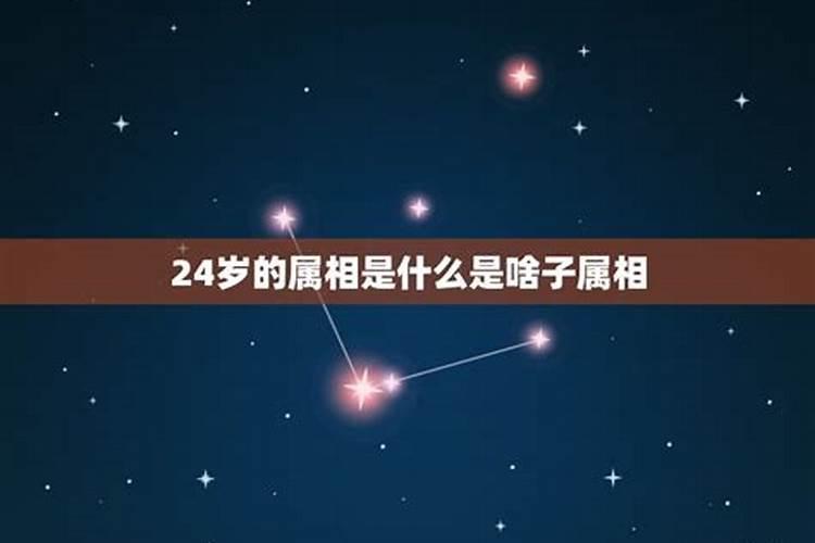 属相婚配24岁属什么