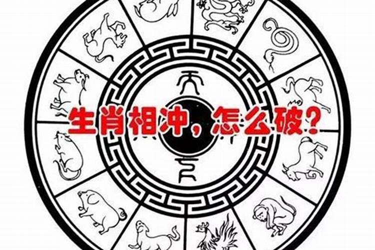 小孩属虎父母属什么好