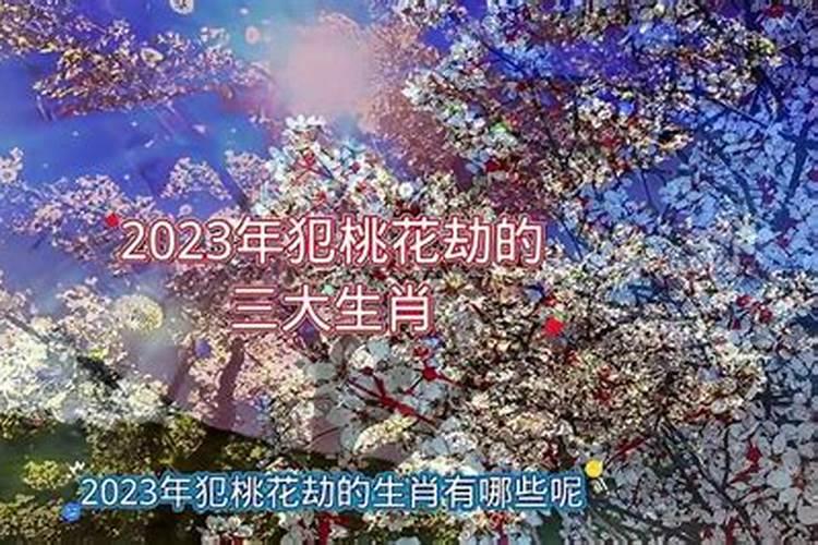 2023年犯桃花劫的生肖男