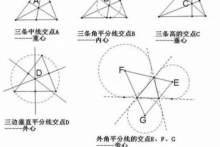 八字形的定义