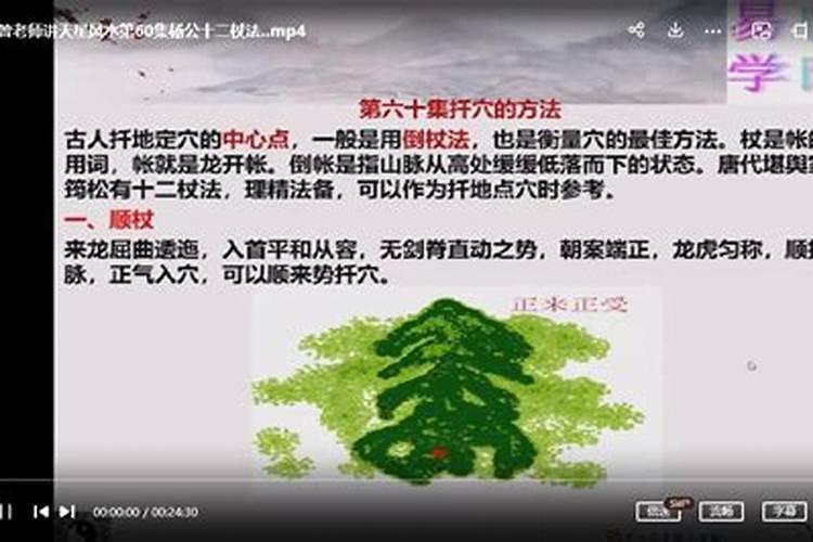 梦见妹妹从山上掉下去没死