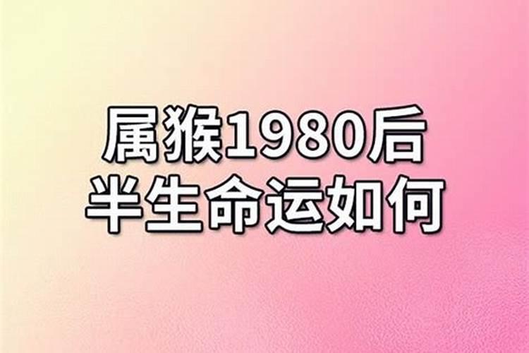 1980年属猴男后半生命运怎么样