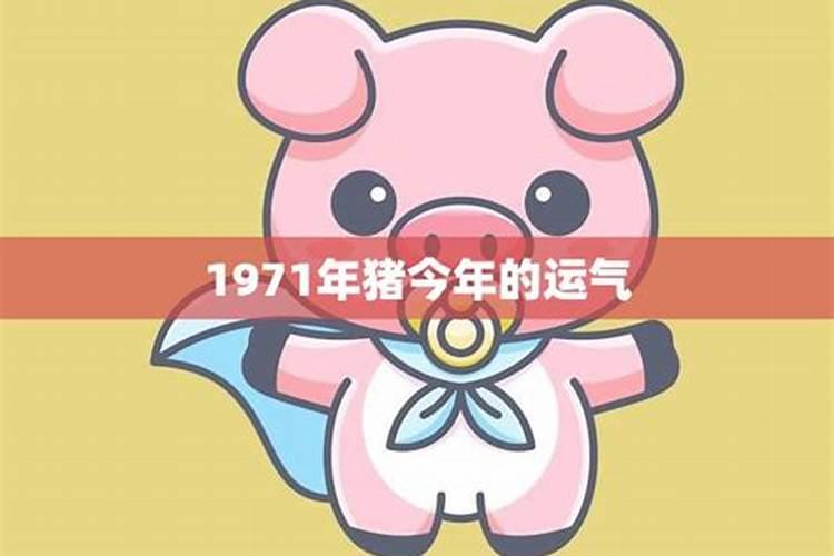 1971年9月的猪今年的运势