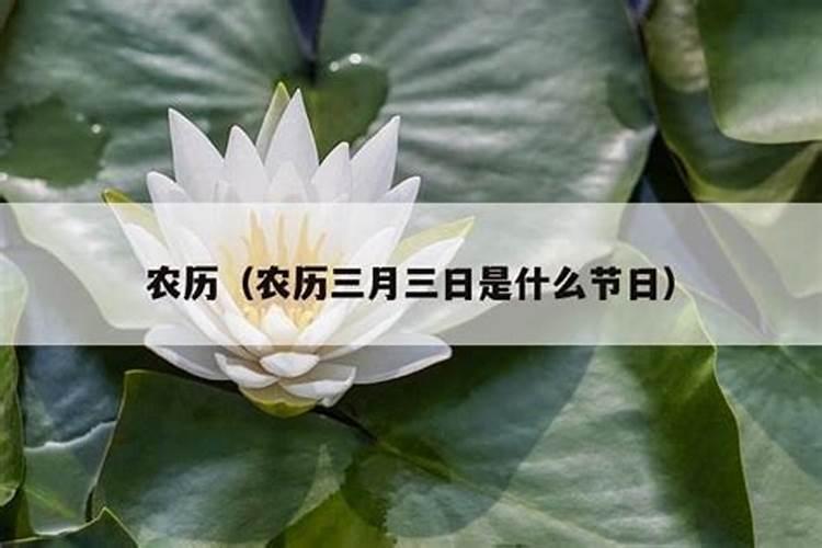 阳历三月三日是什么日子