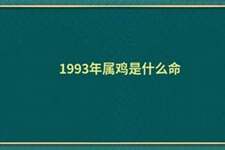 1993年属鸡的是什么命男