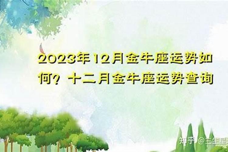 金牛座十二月份运势2023年