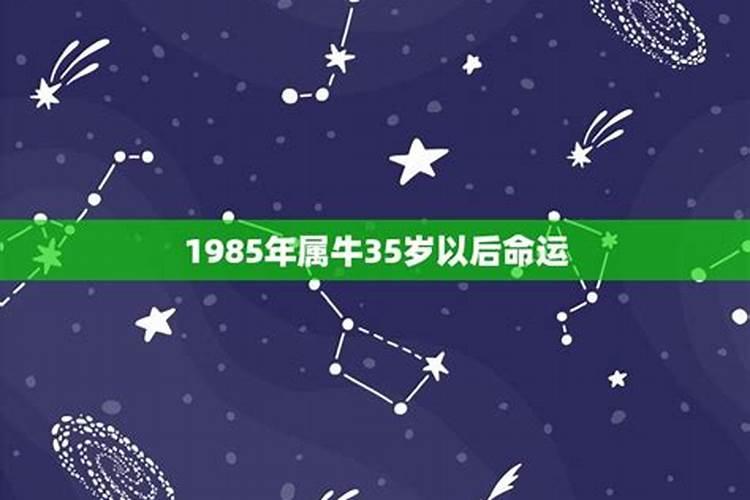 为什么85属牛