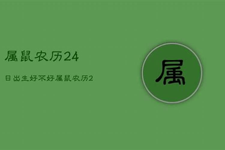 属鼠农历7月生好不好