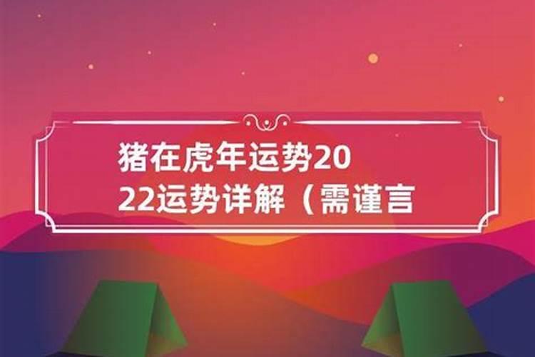 猪在虎年运势2022运势详解