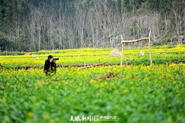 梦见各种各样的耳环什么意思啊女生戴