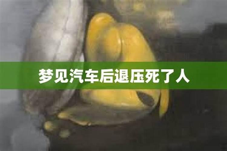 梦见车子压死人是什么兆头