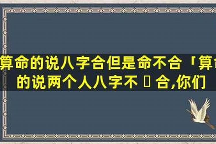 男人说我们八字不合