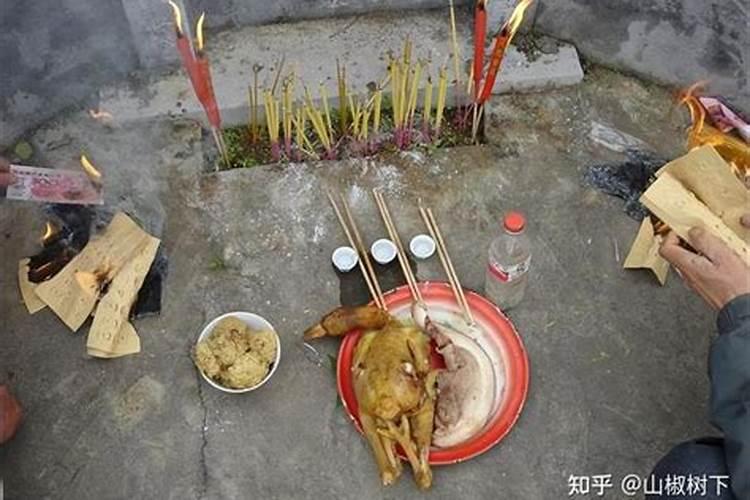 冬至用什么鸡祭祖