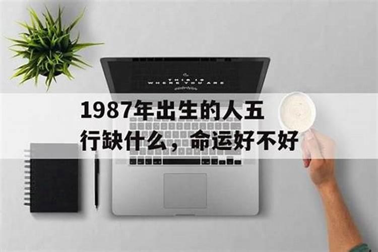 1987年出生人一生的运程