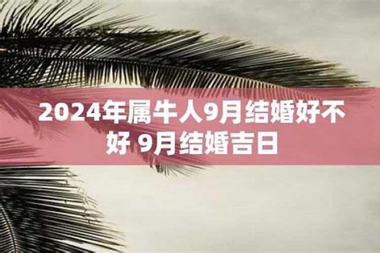 2024年属牛结婚好不好