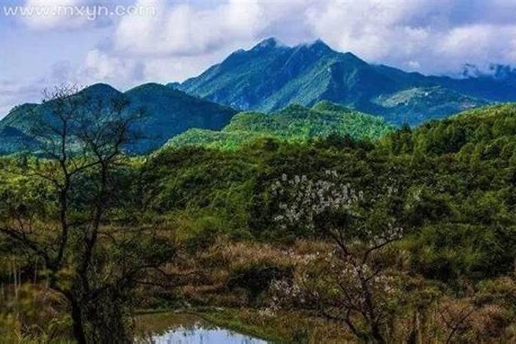 梦见坟山上许多青草