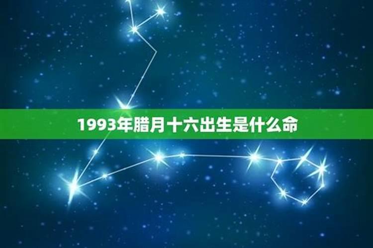 1993年腊月十一是什么命