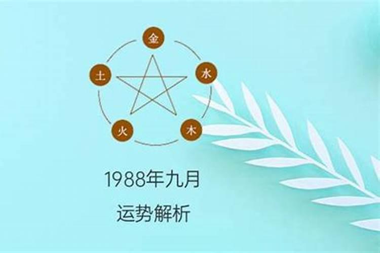 出生于1988年九月初九是什么命