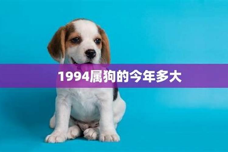 1994属狗的今年多大了2021