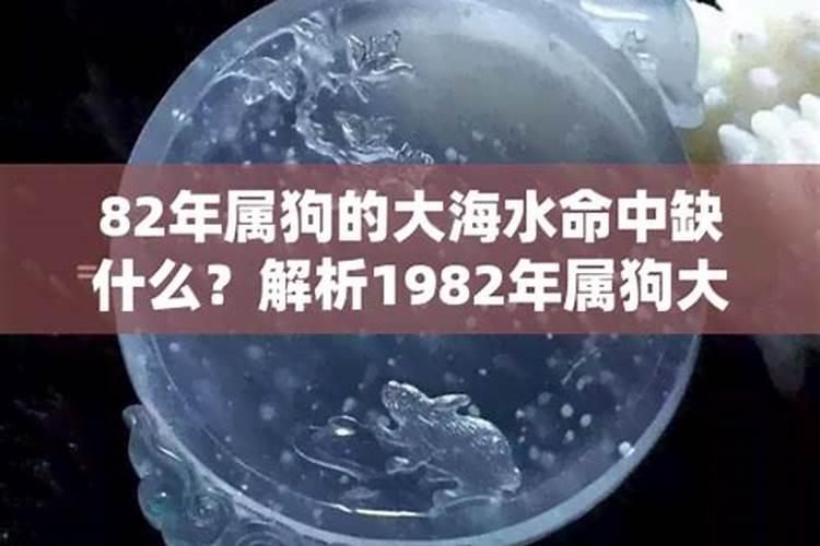 2023年属狗八月82年大海水命什么意思