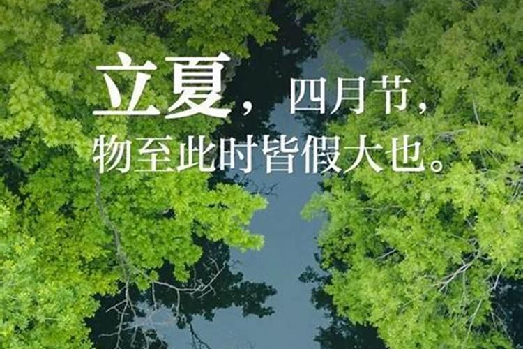 属兔明年的运气如何