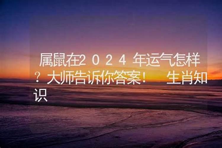 属鼠在2024年运势怎么样呢