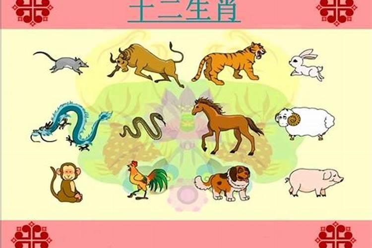 为什么12生肖没有猫