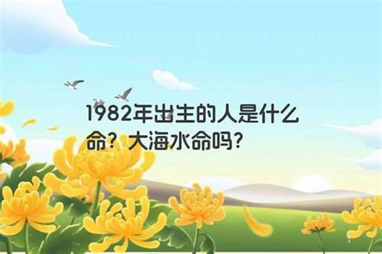 1982年大海水命是什么意思