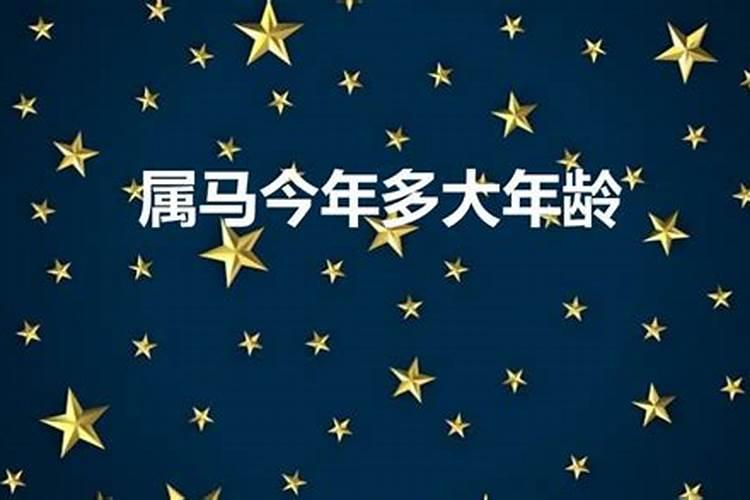 属马今年多少岁数2023年