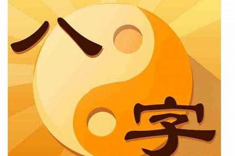 什么属性鼠年犯太岁最好