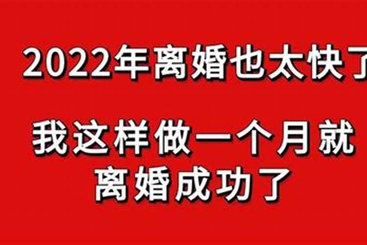 2020年离婚的生肖