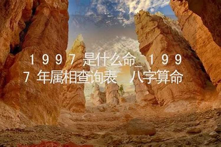 1997是什么命属什么命