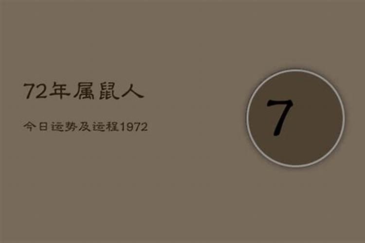 72年鼠人今日运势如何