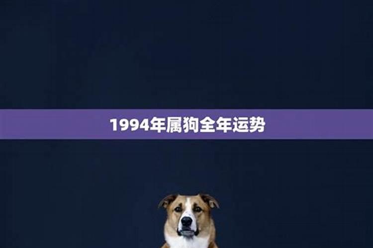 1994鼠年属狗的运势怎么样