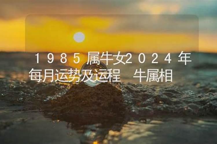 1985属牛男的人2024年运势及运程