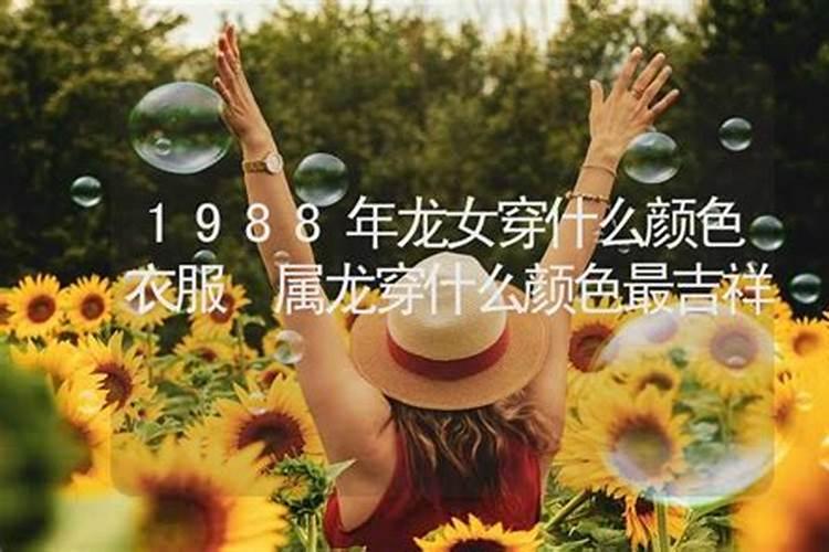 1988年属龙女财运好的数字