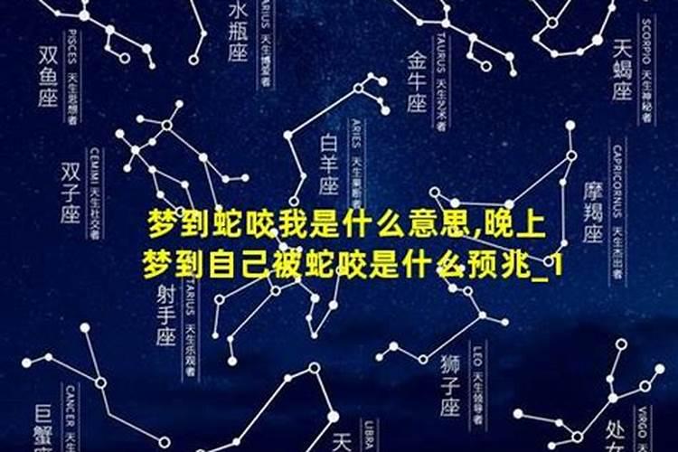 梦到小蛇咬自己是什么意思