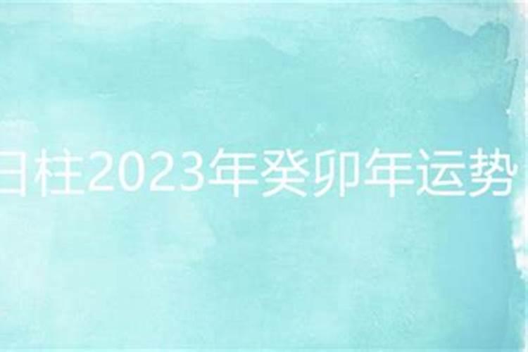 壬子日柱2023年运势