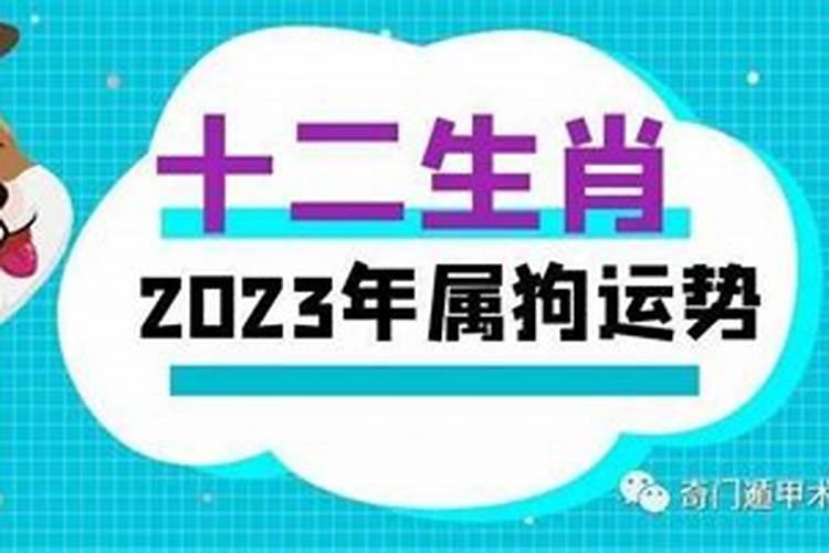 男狗2022年运势