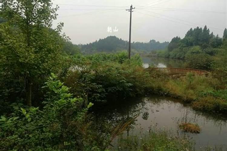 乐山风水宝地