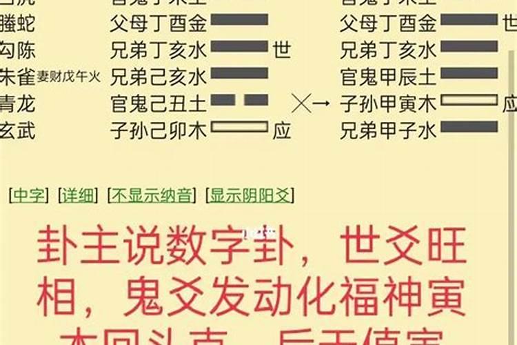 官鬼从来克兄弟,婚姻未就生拟滞什么意思